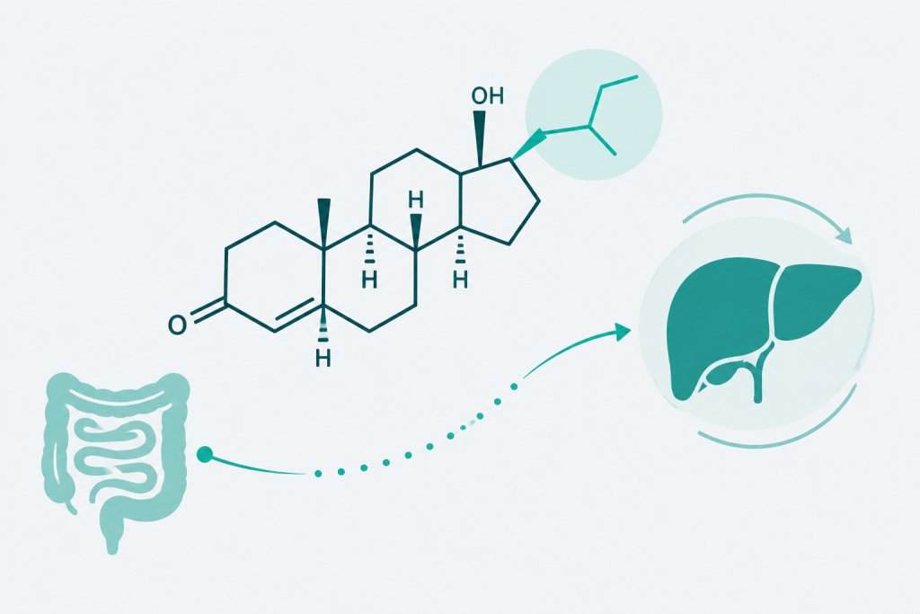 Stéroïdes 17-alpha-alkylés : quel lien avec le foie ?